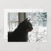 Kat in de winter briefkaart (Voorkant / Achterkant)