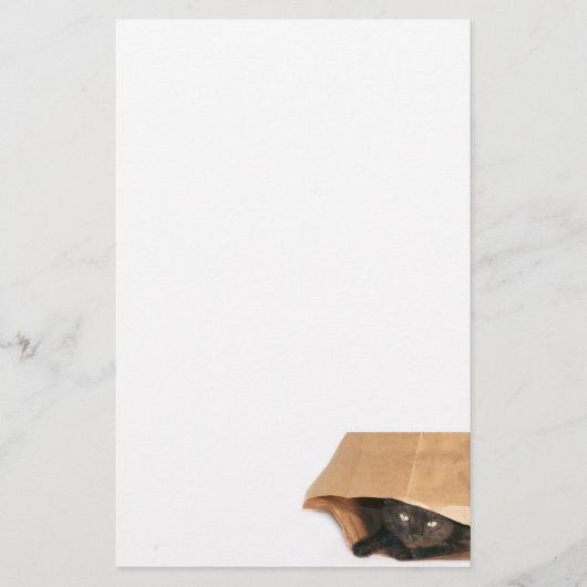 Kat in de zak briefpapier (Voorkant)