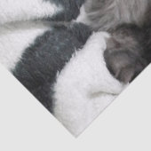 kat in dekens tissuepapier (Detail)