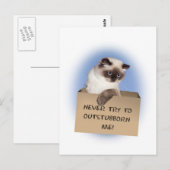 Kat in doos briefkaart (Voorkant / Achterkant)