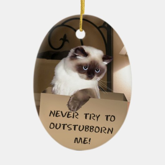 Kat in doos keramisch ornament (Voorkant)