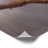 Kat in een boom poster (Hoek)