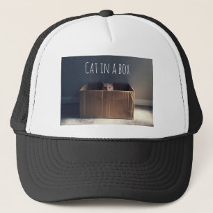 Kat in een doos. De Zen-kat-meester. Trucker Pet
