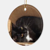 Kat in een doos - Foto Keramisch Ornament (Links)