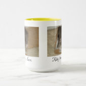 Kat in een doos. mok (Midden)