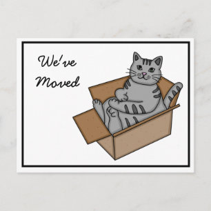Kat in een Doos "We verhuizen" Nieuw Adres Aankondigingskaart