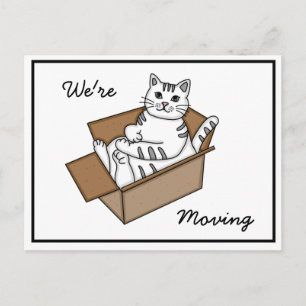 Kat in een Doos "We verhuizen" Nieuw Adres Aankondigingskaart