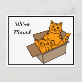 Kat in een doos "We verhuizen" Nieuw adres   Aankondigingskaart
