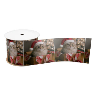 Kat in een kerstcadeau doos lint