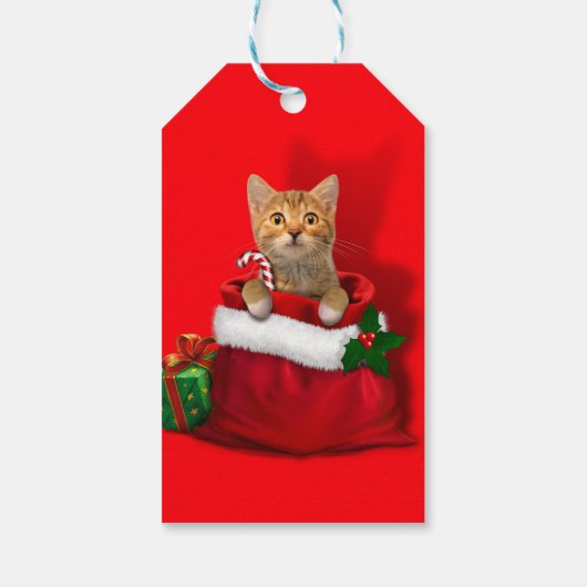 Kat in een kersttas cadeaulabel (Achterkant)