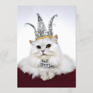 Kat in een kroon kaart