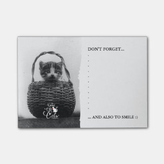 Kat in een mandje  foto post-it® notes