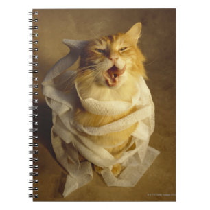 Kat in een medisch gaasje notitieboek