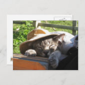 Kat in een Pet Briefkaart (Voorkant / Achterkant)