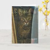 Kat in een raam reflecteert jouw gedachten kaart (Gele Bloem)