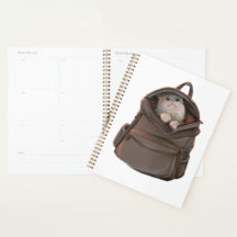 Kat in een Rugzak Planner – Whimsical Autumn
