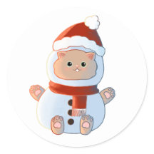 Kat in een sneeuwoutfit