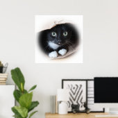 Kat in een tas poster (Thuiskantoor)
