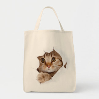 Kat in een tas. tote bag