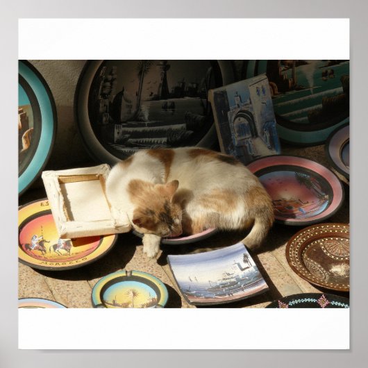 Kat in een uur....Bowl Poster (Voorkant)