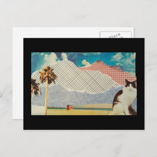 Kat in een vreemd landschap briefkaart (Voorkant / Achterkant)