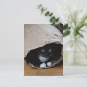 Kat in een zak 2 briefkaart (Staand voorkant)