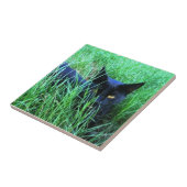 Kat in Grass Tile Tegeltje (Zijkant)