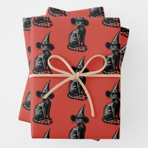 Kat in Heks Pet Illustratie Inpakpapier Vel