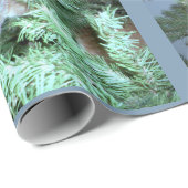 Kat in het omlooppapier van de boom cadeaupapier (Rol Hoek)