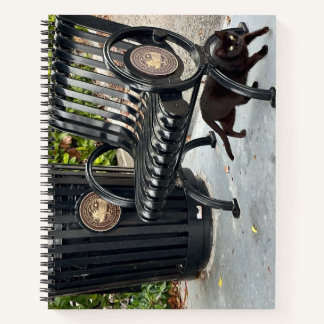 Kat in het park notitieboek