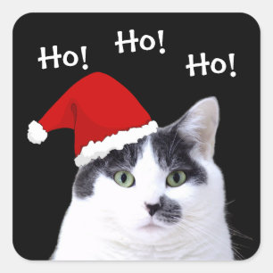 Kat in het Pet van de Kerstman Vierkante Sticker