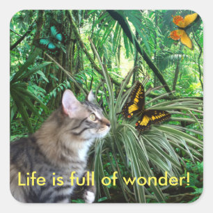 Kat in het regenwoud Stickers