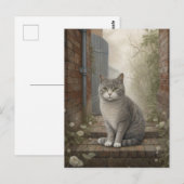Kat in het straat Briefkaart (Voorkant / Achterkant)