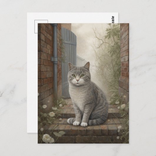 Kat in het straat Briefkaart (Voorkant / Achterkant)