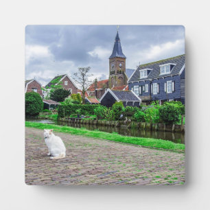 Kat in het traditionele vissersdorp fotoplaat
