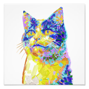 Kat in het zonlicht foto afdruk