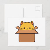 Kat in kartonnen doos briefkaart (Voorkant / Achterkant)