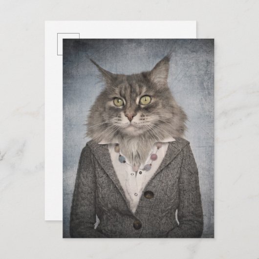 Kat in kleding briefkaart (Voorkant / Achterkant)
