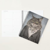 Kat in kleding planner (Display)