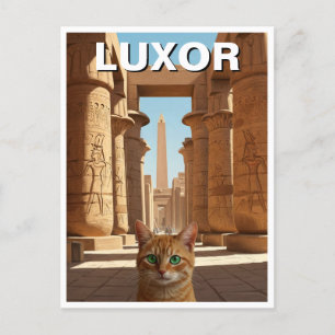 Kat in Luxor Egypte Karnak Tempel Reizen Briefkaart