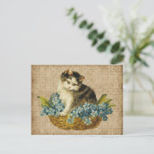  kat in mandje briefkaart (Staand voorkant)