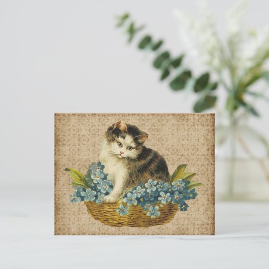  kat in mandje briefkaart (Staand voorkant)
