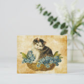 kat in mandje briefkaart (Staand voorkant)