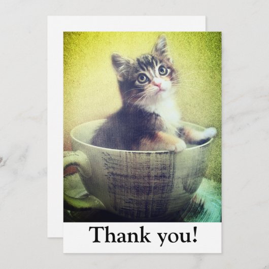 kat in mok Dank u kaart (Voorkant / Achterkant)