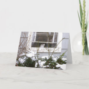 Kat in Mooie Zwart van Kerstmis van het Venster & Feestdagen Kaart