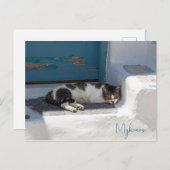Kat in Mykonos Briefkaart (Voorkant / Achterkant)
