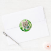 Kat in Natuur Ronde Sticker (Envelop)