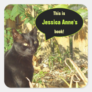 Kat in Ochtend Zon Aangepaste Boekplaten Vierkante Sticker