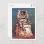 Kat in papiertas, Louis Wain Briefkaart (Voorkant / Achterkant)