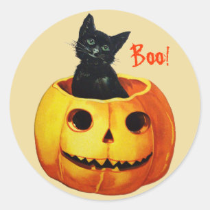 Kat in Pompoen  Halloween Stickers